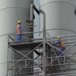 These are the workers