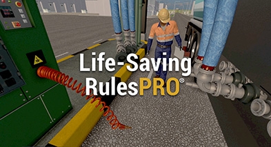 Virsat Life Saving Rules Pro Virsat Life Saving Rules Pro